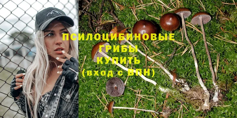 hydra ссылка  Наро-Фоминск  Галлюциногенные грибы Psilocybe 